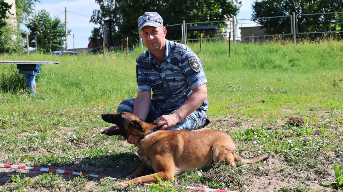 В центре кинологической службы регионального главка прошли областные соревнования среди кинологов В центре кинологической службы регионального главка прошли областные соревнования среди кинологов