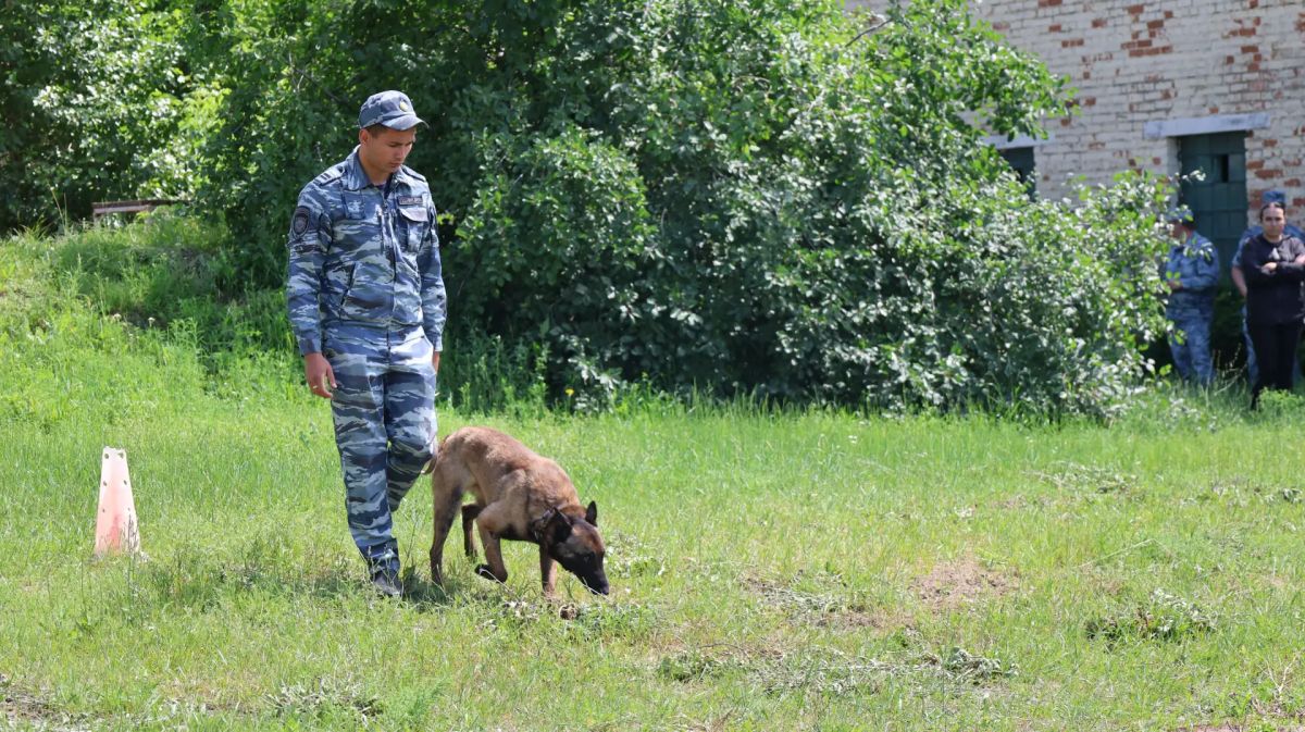 В центре кинологической службы регионального главка прошли областные соревнования среди кинологов В центре кинологической службы регионального главка прошли областные соревнования среди кинологов