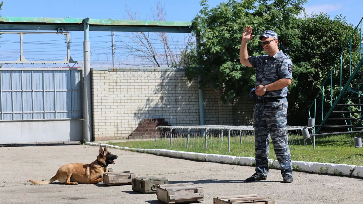 В центре кинологической службы регионального главка прошли областные соревнования среди кинологов В центре кинологической службы регионального главка прошли областные соревнования среди кинологов