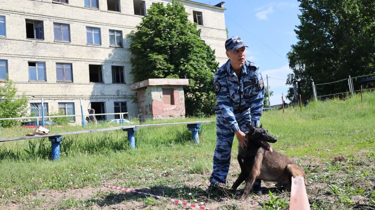 В центре кинологической службы регионального главка прошли областные соревнования среди кинологов В центре кинологической службы регионального главка прошли областные соревнования среди кинологов