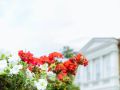 Саратов в кадре