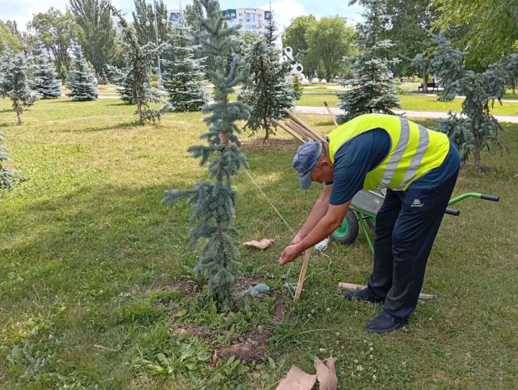Продолжаем благоустройство общественных пространств Продолжаем благоустройство общественных пространств