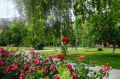 Саратов в кадре