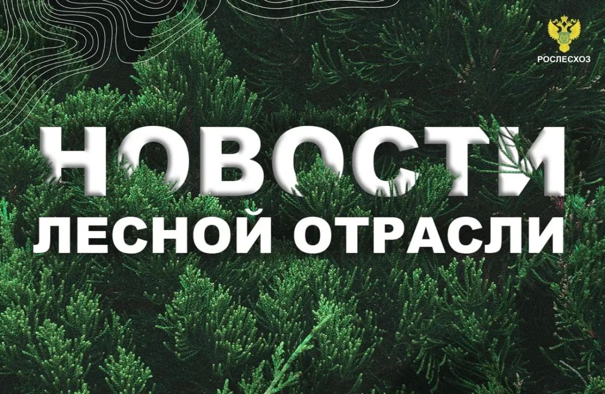 ЛесПромИнформ: На тушение пожаров в Красноярском крае дополнительно направлены 140 специалистов