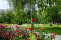 Саратов в кадре