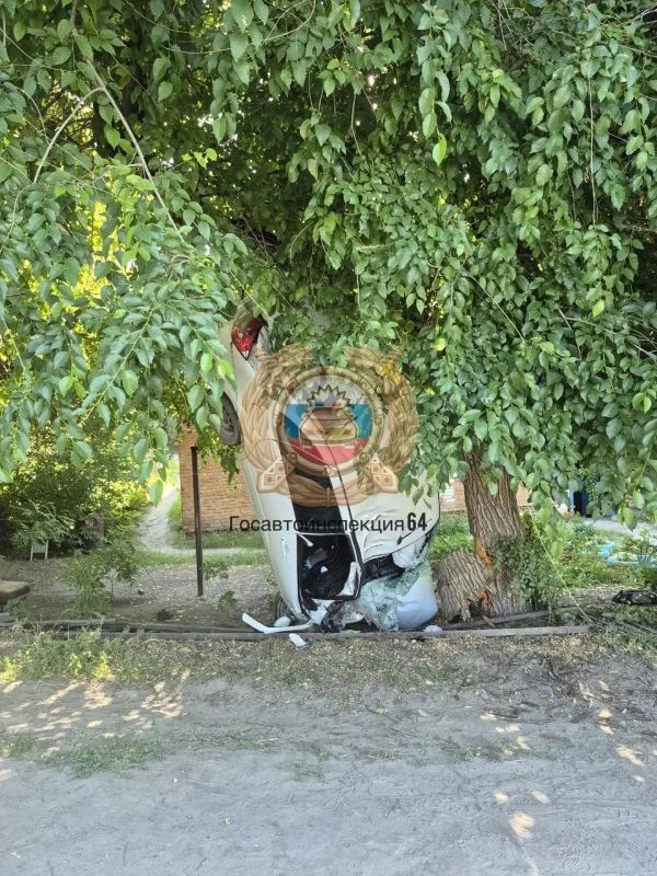 В Саратове легковушка "повисла" вдоль дерева В Саратове легковушка "повисла" вдоль дерева