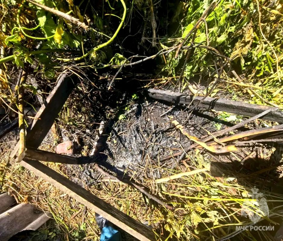 Боролся с травой - получил ожоги Боролся с травой - получил ожоги