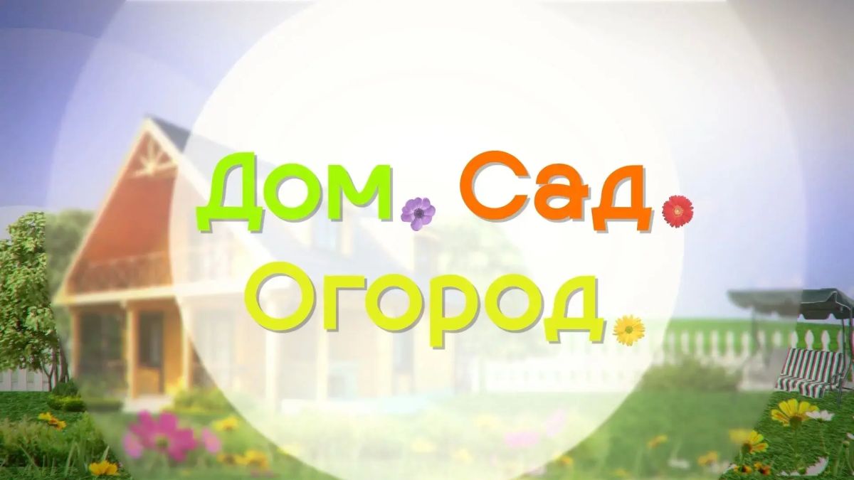 Новый выпуск программы «Дом