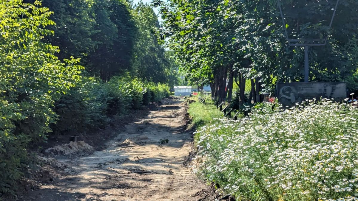 Сегодня осмотрели ход работ в сквере имени Вячеслава Малярова Сегодня осмотрели ход работ в сквере имени Вячеслава Малярова