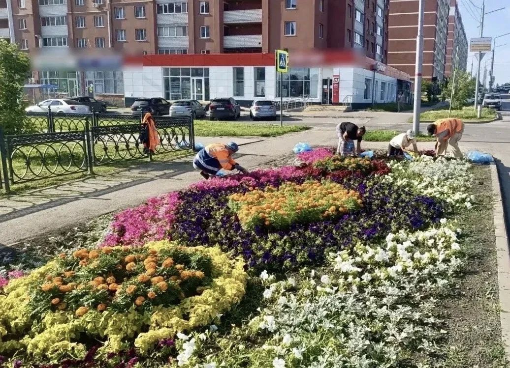 Уборка города. Коммунальные службы осуществляют уборку дорог и тротуаров, мойку остановок, уход за зелеными зонами, подбор мусора, а также ремонт дорожных знаков и ограждений Уборка города. Коммунальные службы осуществляют уборку дорог и тротуаров, мойку остановок, уход за зелеными зонами, подбор мусора, а также ремонт дорожных знаков и ограждений