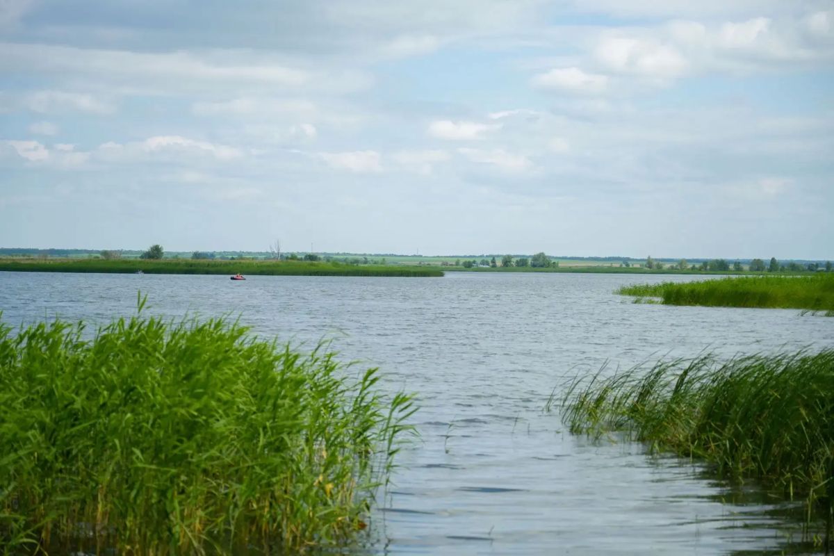 Балаковская АЭС выпустила в Саратовское водохранилище более 73 тысяч молоди стерляди Балаковская АЭС выпустила в Саратовское водохранилище более 73 тысяч молоди стерляди