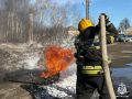 В Саратовской области за прошедшие сутки
