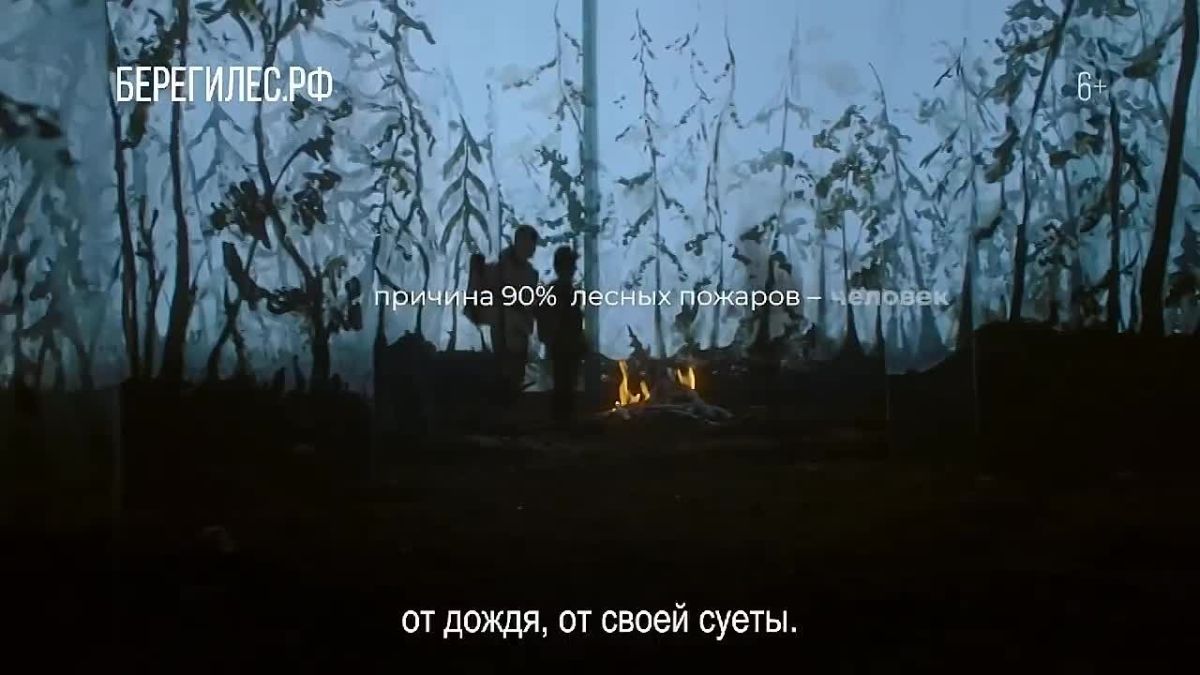 Лесные пожары легче предотвратить, чем потушить