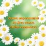 День семьи, любви и верности: программа мероприятий
