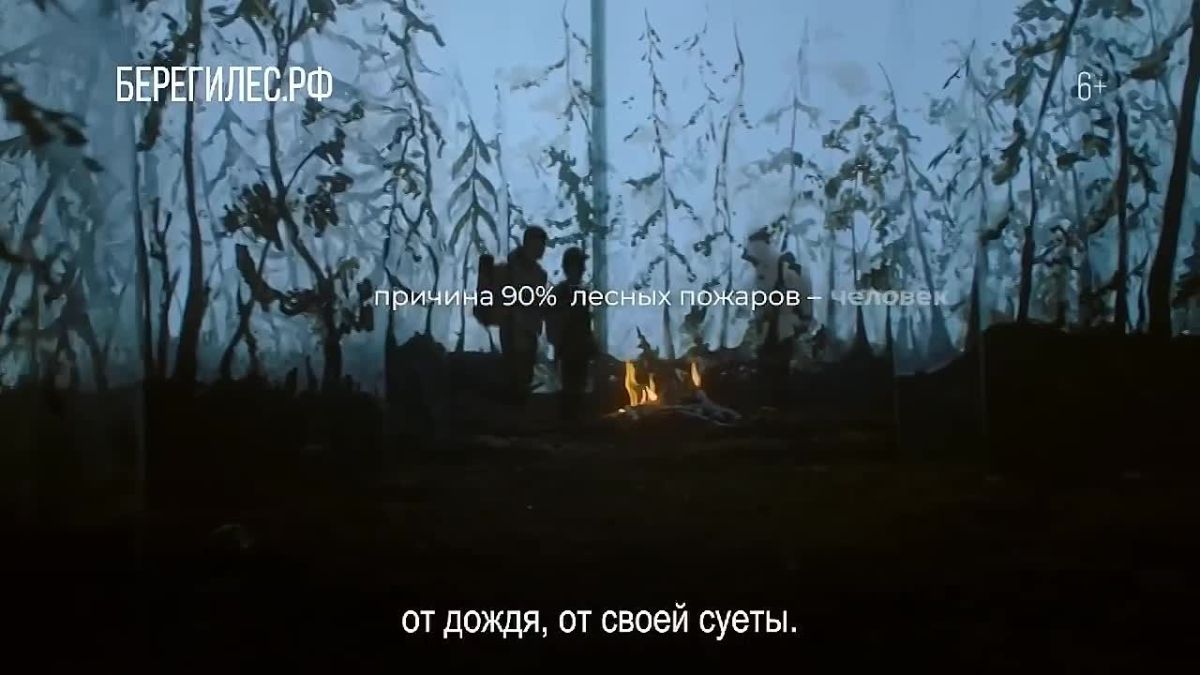 Лесные пожары легче предотвратить, чем потушить