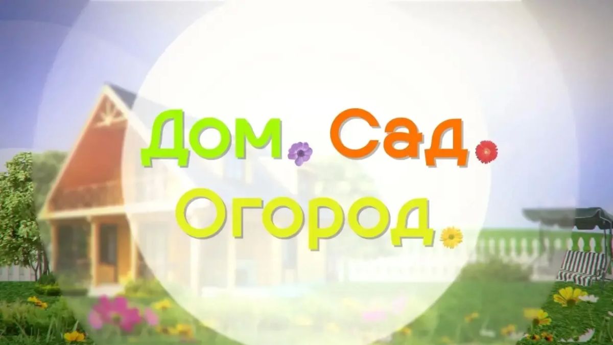 Новый выпуск программы "Дом