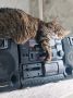 Прогноз погоды на 10 июля в Саратовской области
