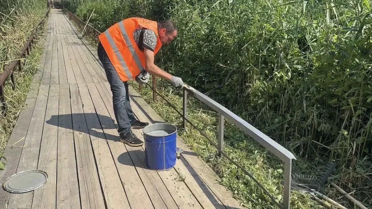 В Князевке начались работы по благоустройству после обращения жителей В Князевке начались работы по благоустройству после обращения жителей