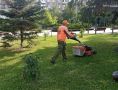 Уборка города. Коммунальные службы осуществляют уборку дорог и тротуаров, мойку и ремонт остановочных павильонов, уход за зелеными зонами, подбор мусора, а также ремонт дорожных знаков и ограждений