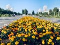 Прогноз погоды на 12 июля 2026 года