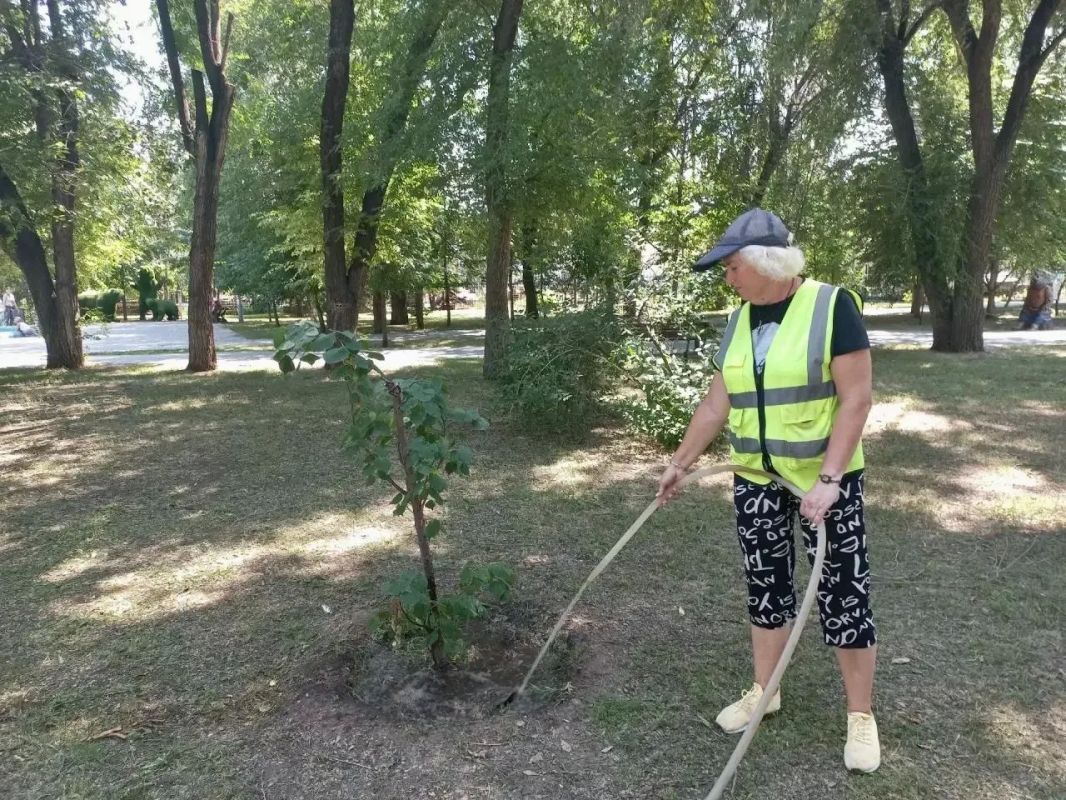 В условиях установившейся погоды на особом контроле - соблюдение графика полива зелёных насаждений в парках и скверах города В условиях установившейся погоды на особом контроле - соблюдение графика полива зелёных насаждений в парках и скверах города