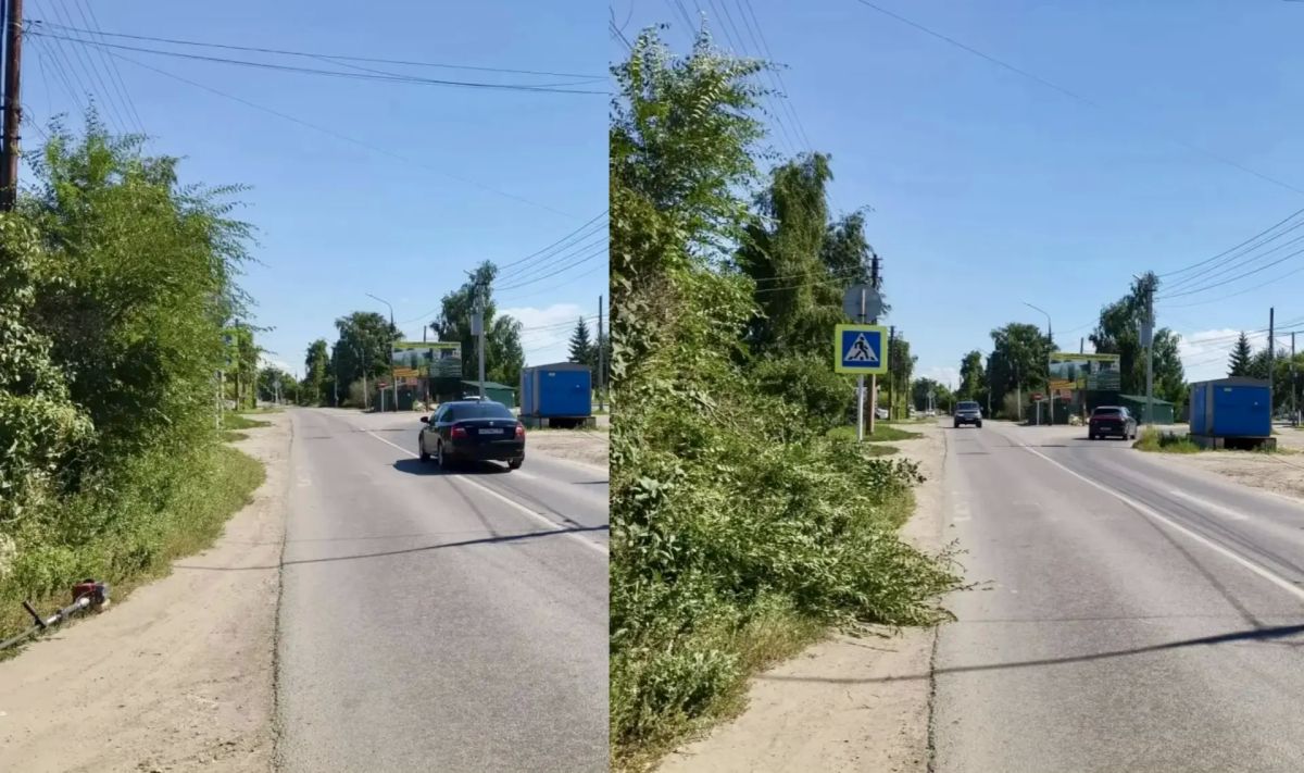 Обеспечиваем видимость знаков дорожного движения Обеспечиваем видимость знаков дорожного движения