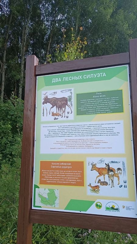 В Лысогорском районе открылась новая экотропа «Луговая» В Лысогорском районе открылась новая экотропа «Луговая»
