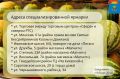� �������� ������������ ������������������ ������� �������� �������