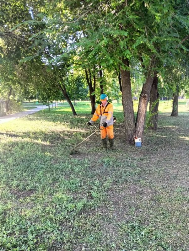 В Балаково "Комбинат благоустройства" приводит в порядок улицы, скверы и парки В Балаково "Комбинат благоустройства" приводит в порядок улицы, скверы и парки