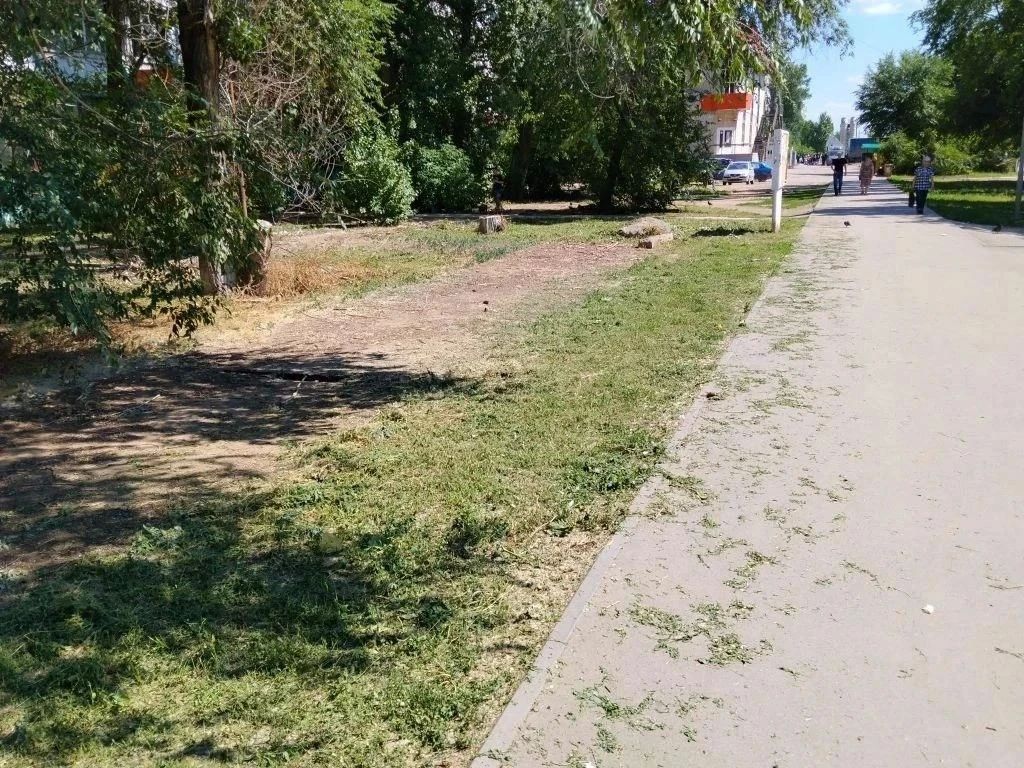 По поручению главы района Максима Леонова в Энгельсе усилена работа с управляющими компаниями по покосу сорной растительности во дворах многоквартирных домов По поручению главы района Максима Леонова в Энгельсе усилена работа с управляющими компаниями по покосу сорной растительности во дворах многоквартирных домов