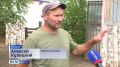 Такое в природе не увидишь: в Татищеве овчарка по кличке Кшися нашла в лесу детеныша косули