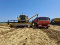 В Энгельсском районе полным ходом идет уборочная кампания