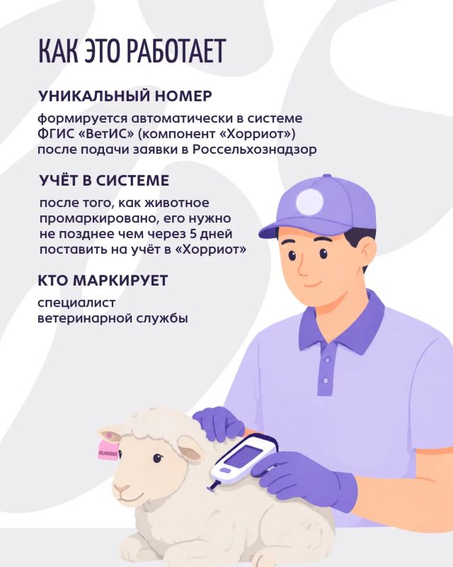 Маркируем животных. В России продолжается масштабная работа по обязательному маркированию и учёту животных, начатая в 2024 году Маркируем животных. В России продолжается масштабная работа по обязательному маркированию и учёту животных, начатая в 2024 году