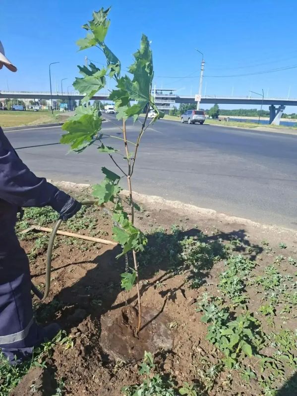 В Балаково в ежедневном режиме ведутся работы по благоустройству и очистке улиц В Балаково в ежедневном режиме ведутся работы по благоустройству и очистке улиц