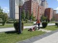 Уборка города. Коммунальные службы осуществляют уборку дорог и тротуаров, мойку и ремонт остановочных павильонов, уход за зелеными зонами, подбор мусора, а также ремонт дорожных знаков и ограждений