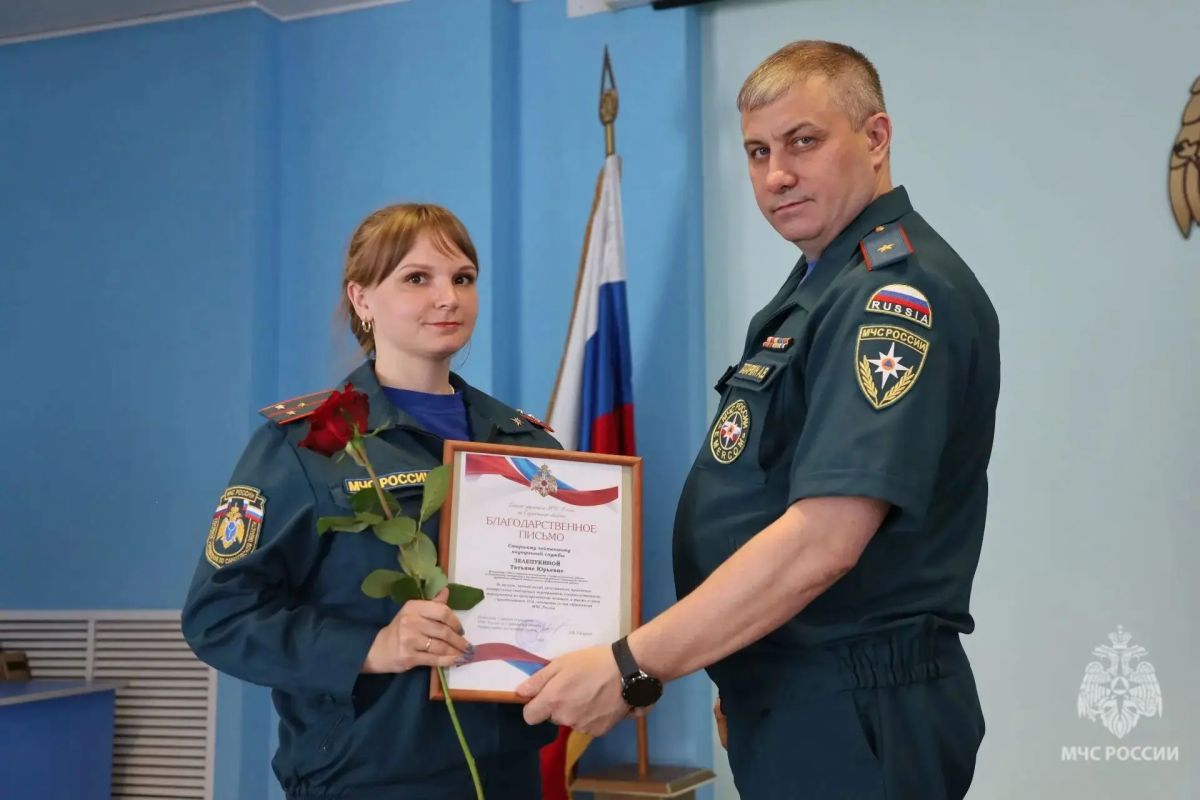 Накануне профессионального праздника вручены награды Накануне профессионального праздника вручены награды