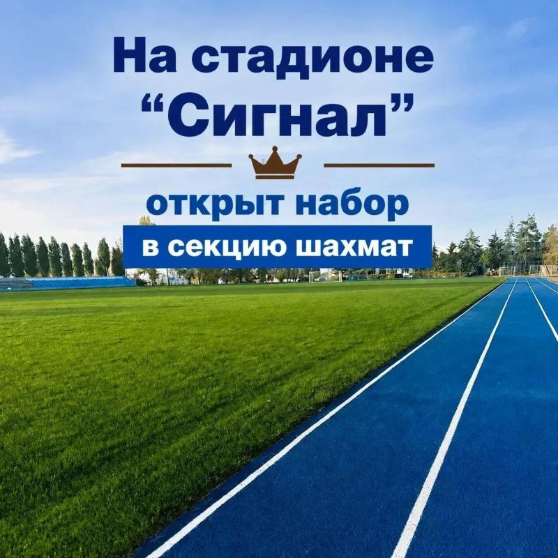 В Энгельсском районе с каждым годом растет количество любителей шахмат