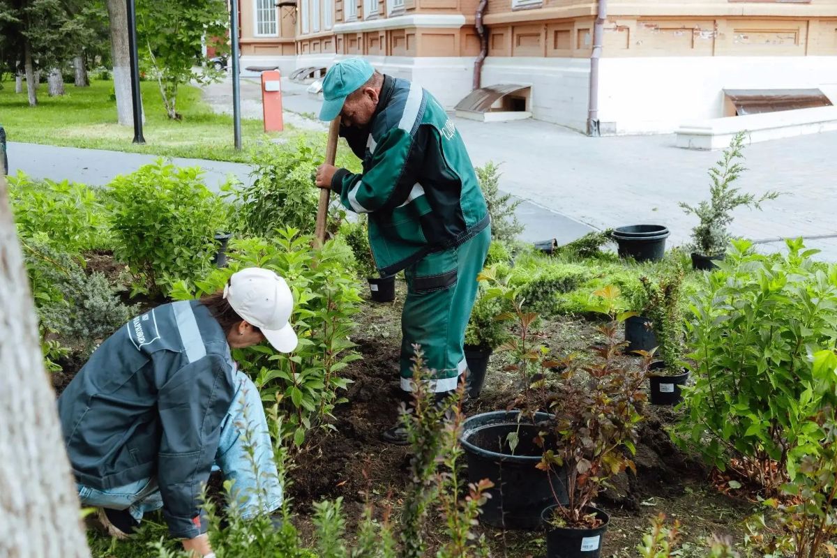В сквере имени А. Н. Радищева высадили зеленые насаждения В сквере имени А. Н. Радищева высадили зеленые насаждения