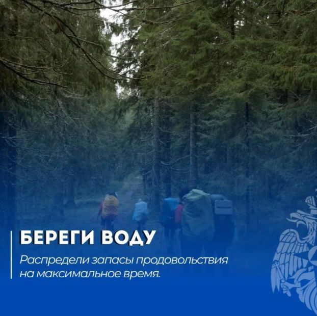 Саратовцам напомнили, что делать, если потерялся в лесу Саратовцам напомнили, что делать, если потерялся в лесу