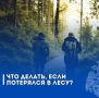 Саратовцам напомнили, что делать, если потерялся в лесу