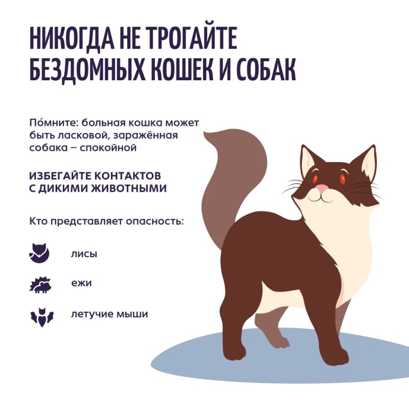 Осторожно: бешенство!. Бешенство может пробраться в ваш дом под видом милого существа Осторожно: бешенство!. Бешенство может пробраться в ваш дом под видом милого существа