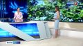 Лето в разгаре. Сегодня температурный фон начнет возвращаться в климатическую норму