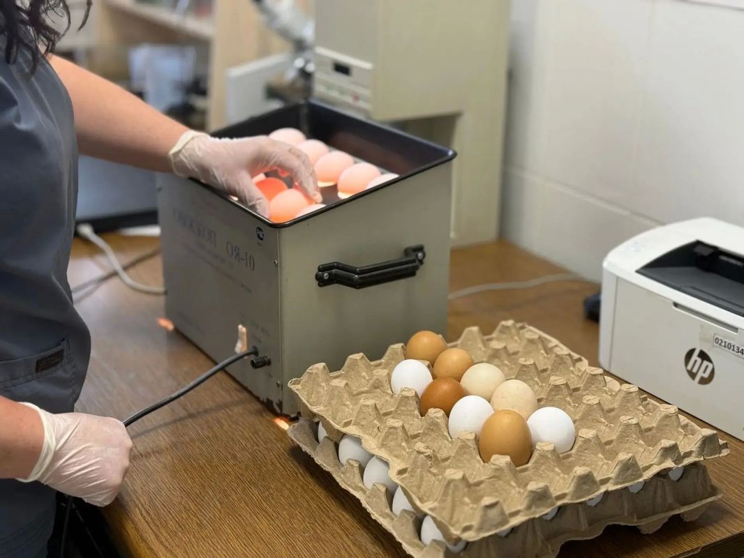 Более 3,8 тонн продукции, не соответствующей требованиям безопасности, не допустили к продаже в Энгельсе