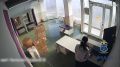 Одела, накормила себя и собаку за чужой счет и стала фигуранткой уголовного дела
