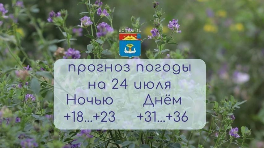 Прогноз погоды на 24 июля 2026 года