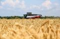 Уборочная-2026: аграрии Саратовской области намолотили 1,5 млн тонн зерна