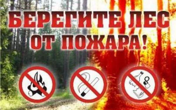 Жаркие выходные в Саратовской области: министр Константин Доронин поручил усилить наблюдение за лесами