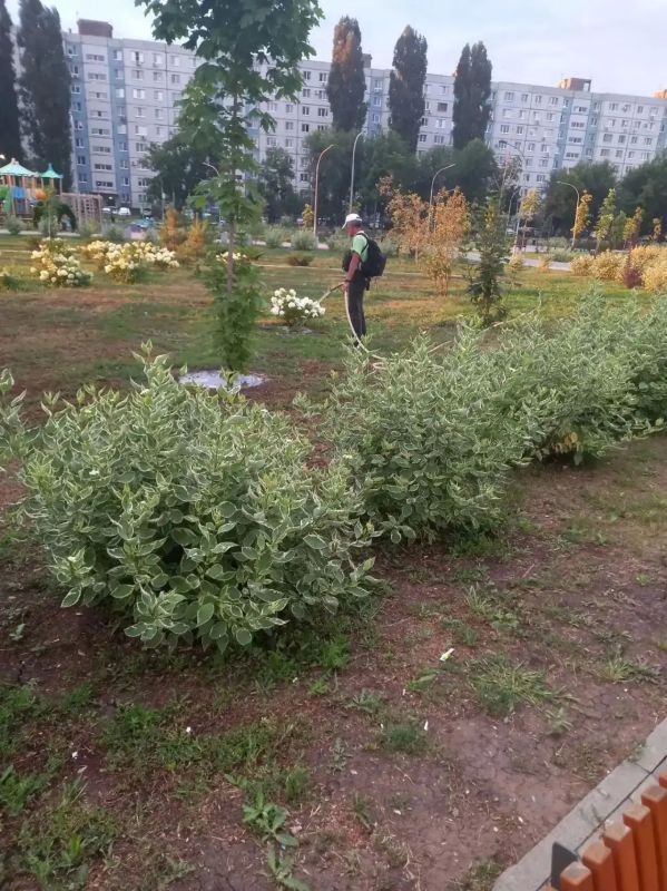 В ежедневном режиме продолжаются плановые работы по содержанию города В ежедневном режиме продолжаются плановые работы по содержанию города