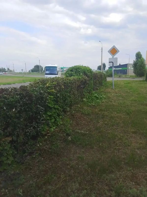 В ежедневном режиме продолжаются плановые работы по содержанию города В ежедневном режиме продолжаются плановые работы по содержанию города