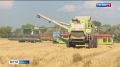 В начале июля саратовские аграрии приступили к уборке озимых культур